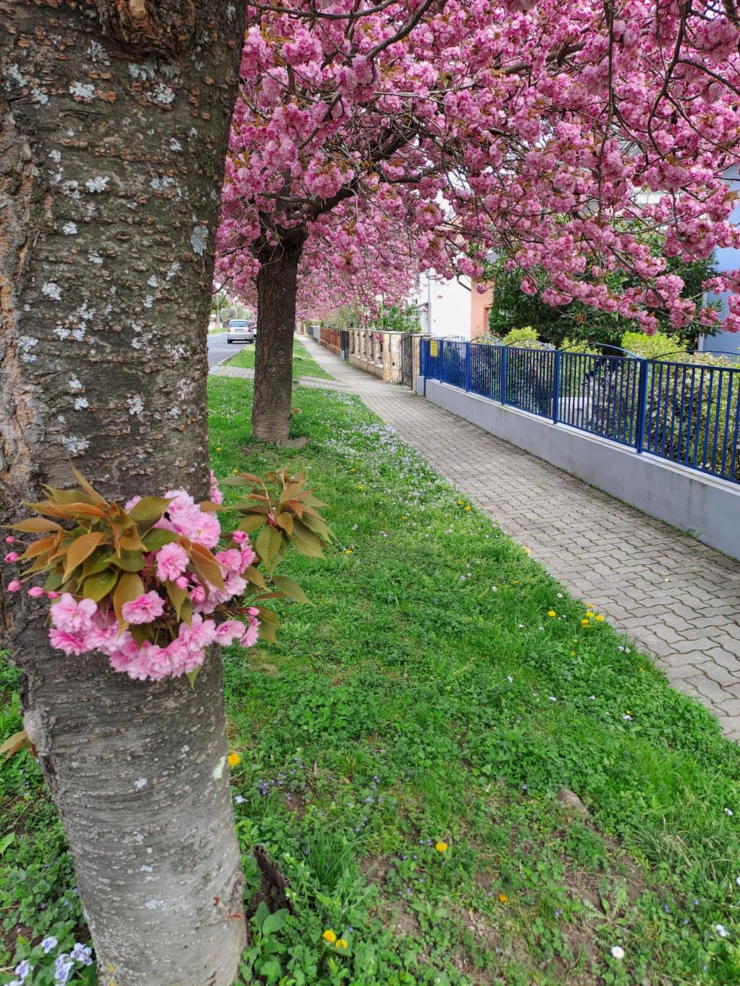 Appartamento Laguna